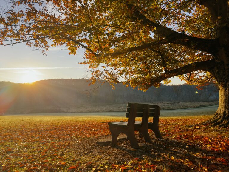 resized_40_api